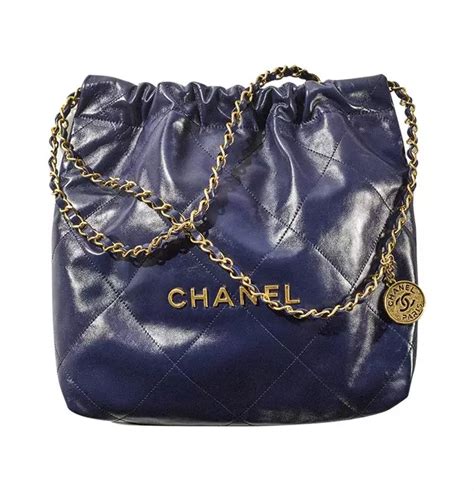 bag of chanel|chanel new bag 2022.